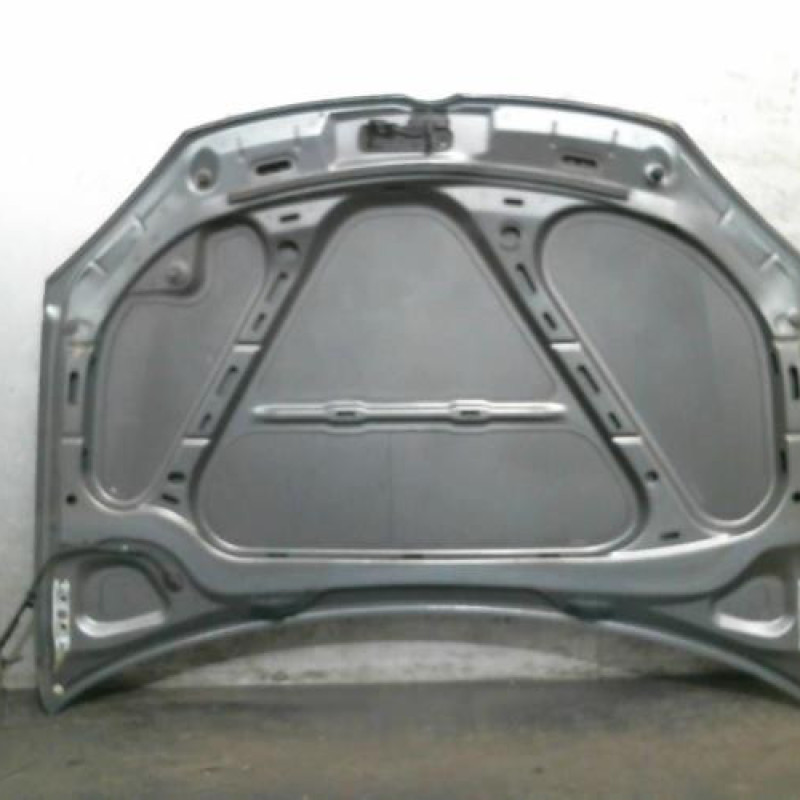 Capot VOLKSWAGEN GOLF 5 Photo n°1