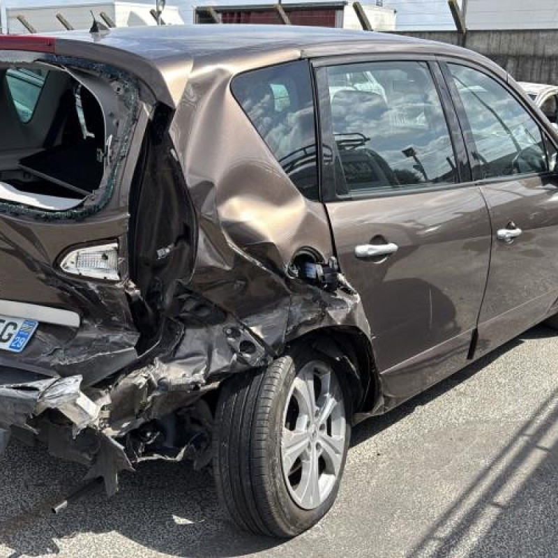 Pedale d'accelerateur RENAULT SCENIC 3 Photo n°8