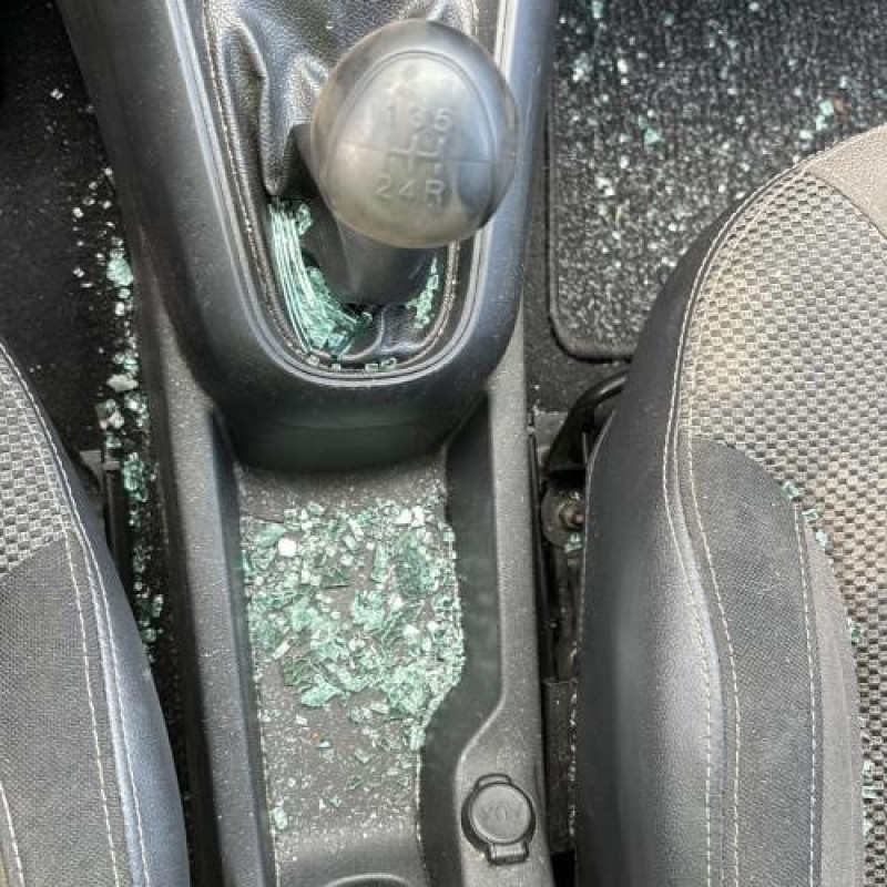 Tambour arriere droit CITROEN C3 2 Photo n°19