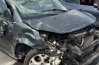 Tambour arriere gauche CITROEN C3 2