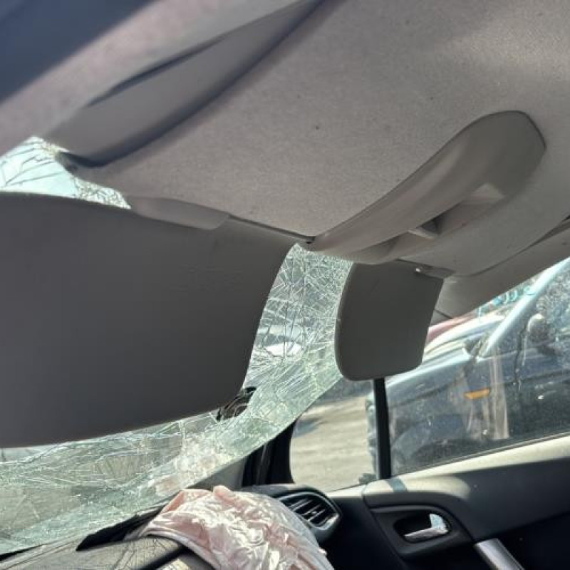 Tambour arriere gauche CITROEN C3 2 Photo n°11