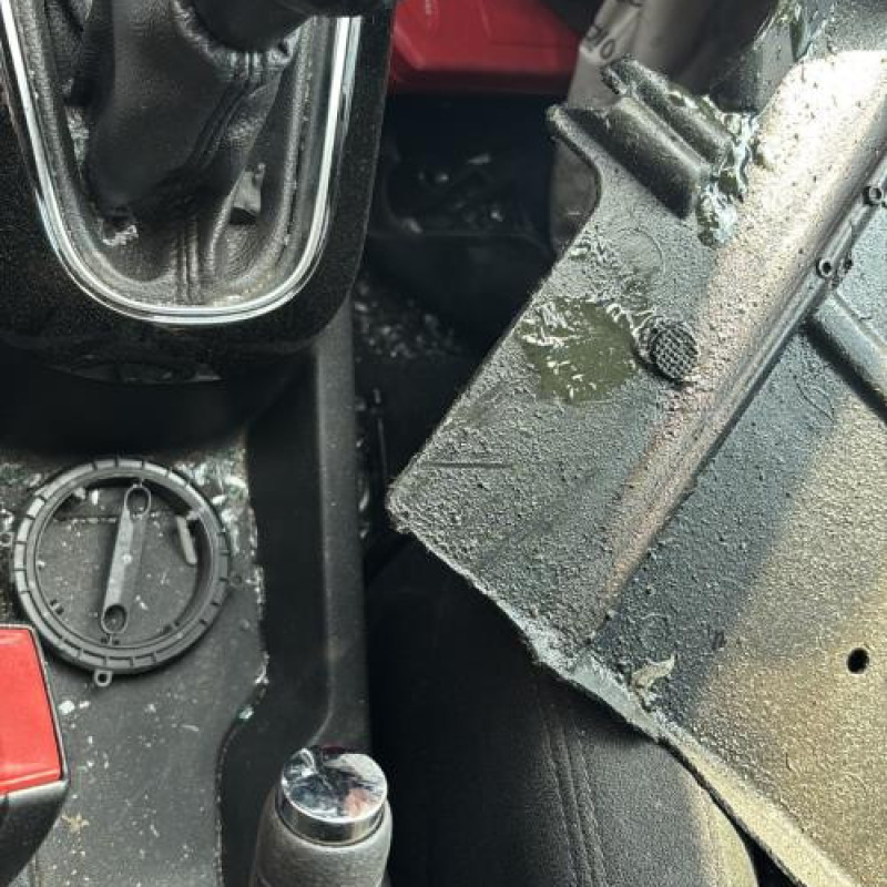 Tambour arriere gauche CITROEN C3 2 Photo n°15