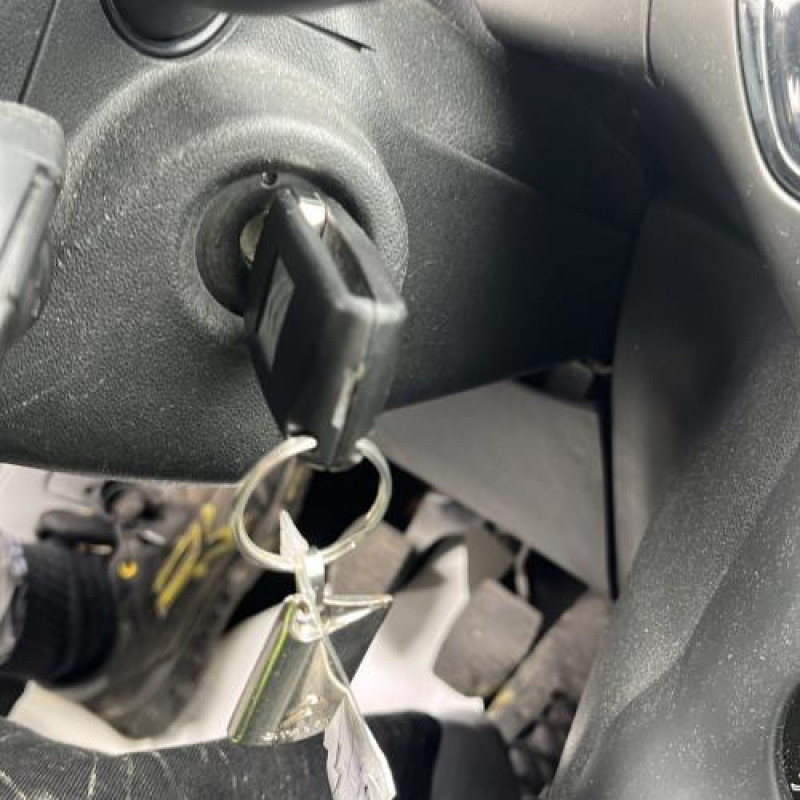 Tambour arriere gauche CITROEN C3 2 Photo n°10