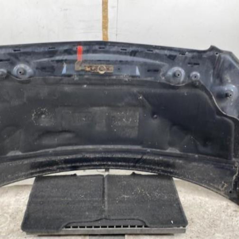 Capot MERCEDES VITO 639 Photo n°5