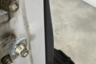 Porte avant droit RENAULT CLIO 3