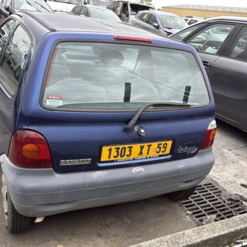 Porte avant gauche RENAULT TWINGO 1 Photo n°9
