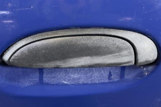 Porte arriere gauche RENAULT CLIO 2