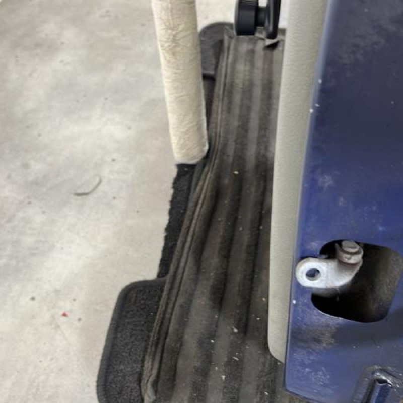 Porte arriere gauche RENAULT CLIO 2 Photo n°5