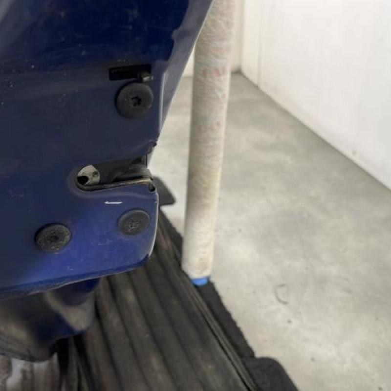 Porte arriere gauche RENAULT CLIO 2 Photo n°7