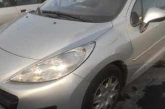 Malle/Hayon arriere PEUGEOT 207
