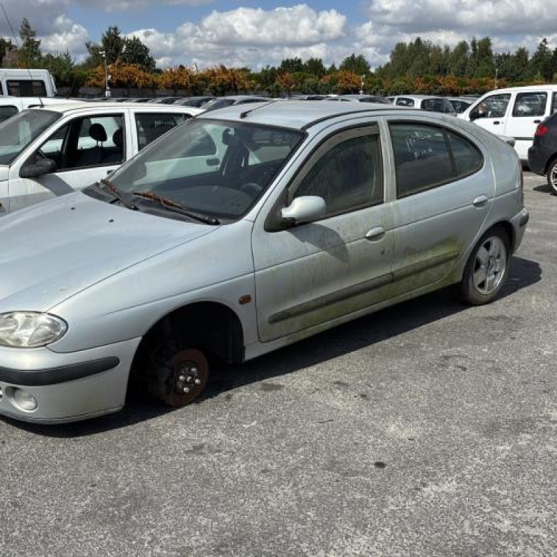 Feu arriere principal droit (feux) RENAULT MEGANE 1 Photo n°5