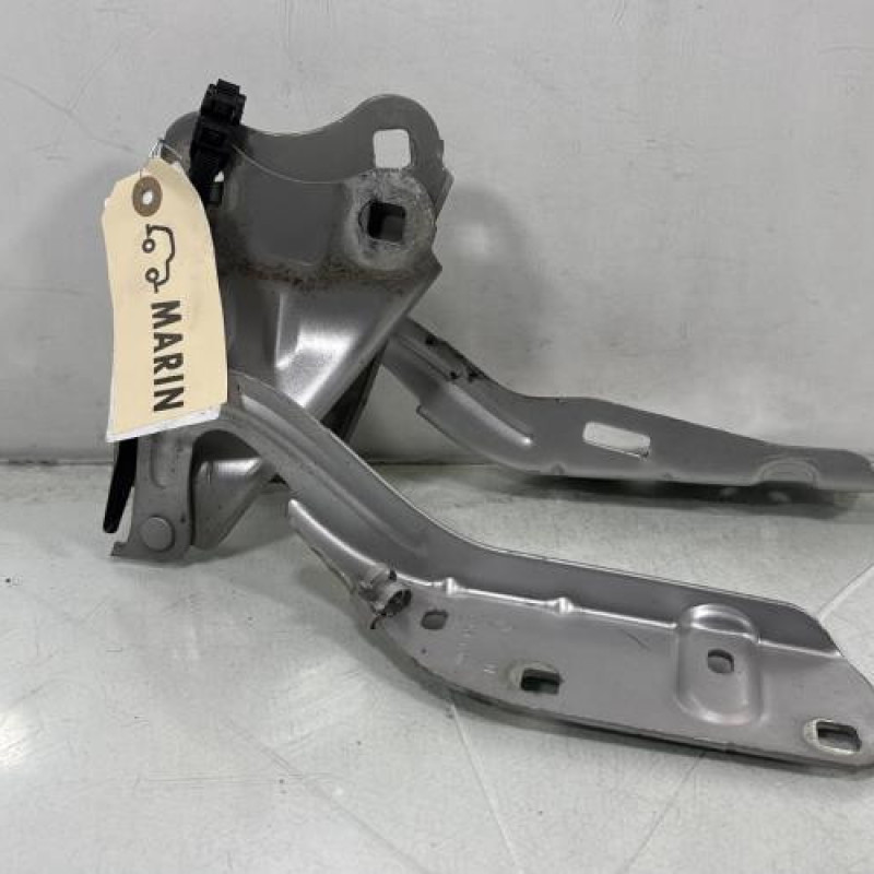 Charniere de capot RENAULT TWINGO 2 Photo n°1