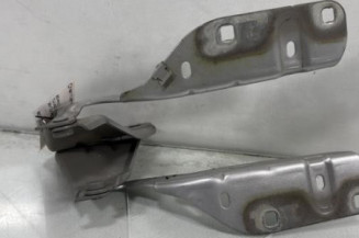 Charniere de capot RENAULT TWINGO 2