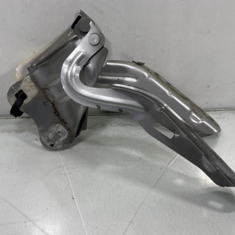 Charniere de capot RENAULT TWINGO 2 Photo n°4