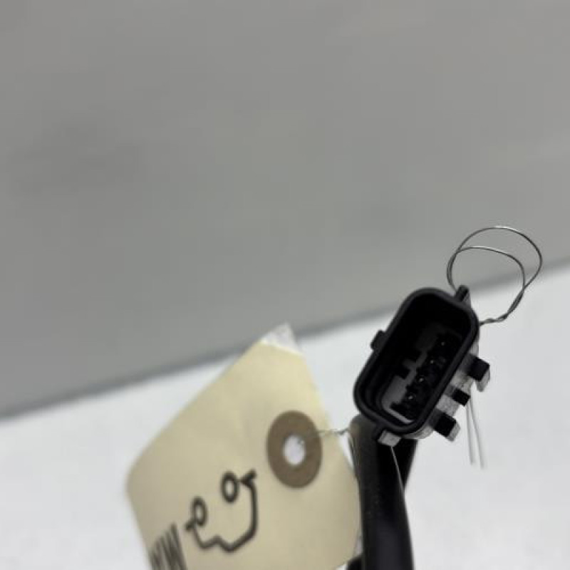 Bouton de coffre RENAULT KADJAR Photo n°2