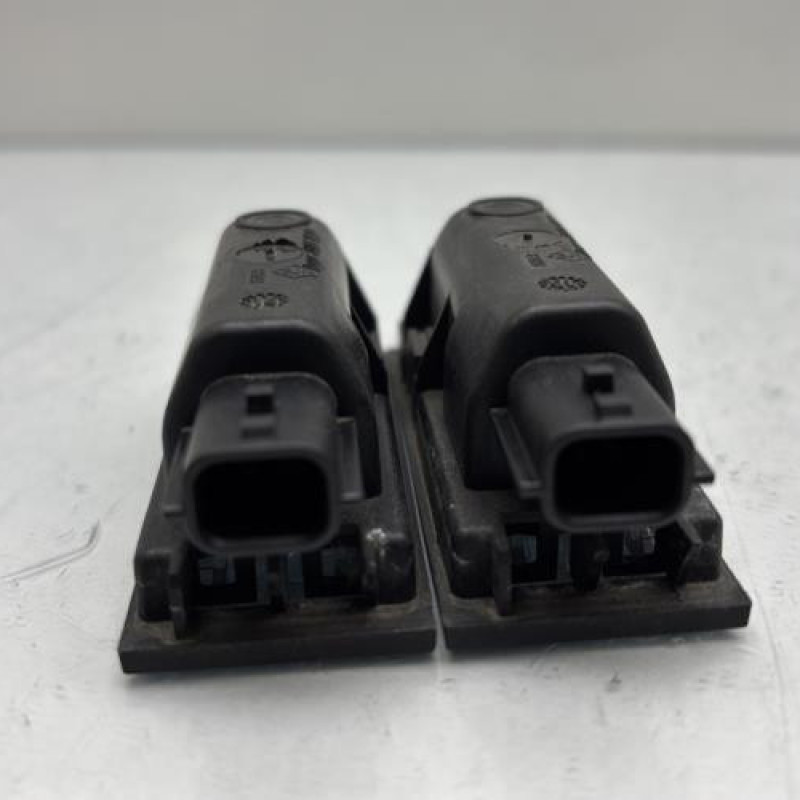 Eclairage de plaque RENAULT KADJAR Photo n°2