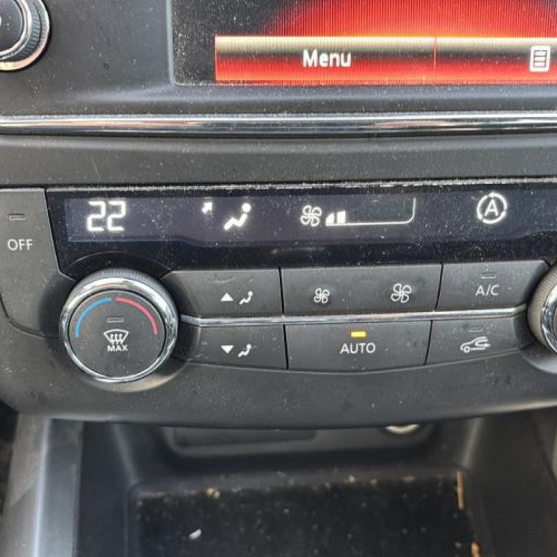 Eclairage de plaque RENAULT KADJAR Photo n°7