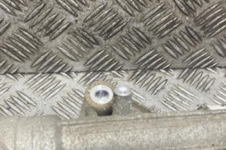 Cremaillere assistee RENAULT CLIO 4