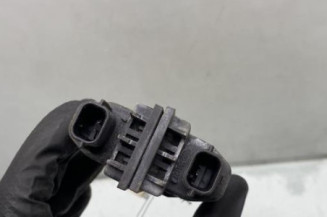 Eclairage de plaque RENAULT CLIO 4