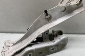 Charniere de capot CITROEN DS5 Photo n°1