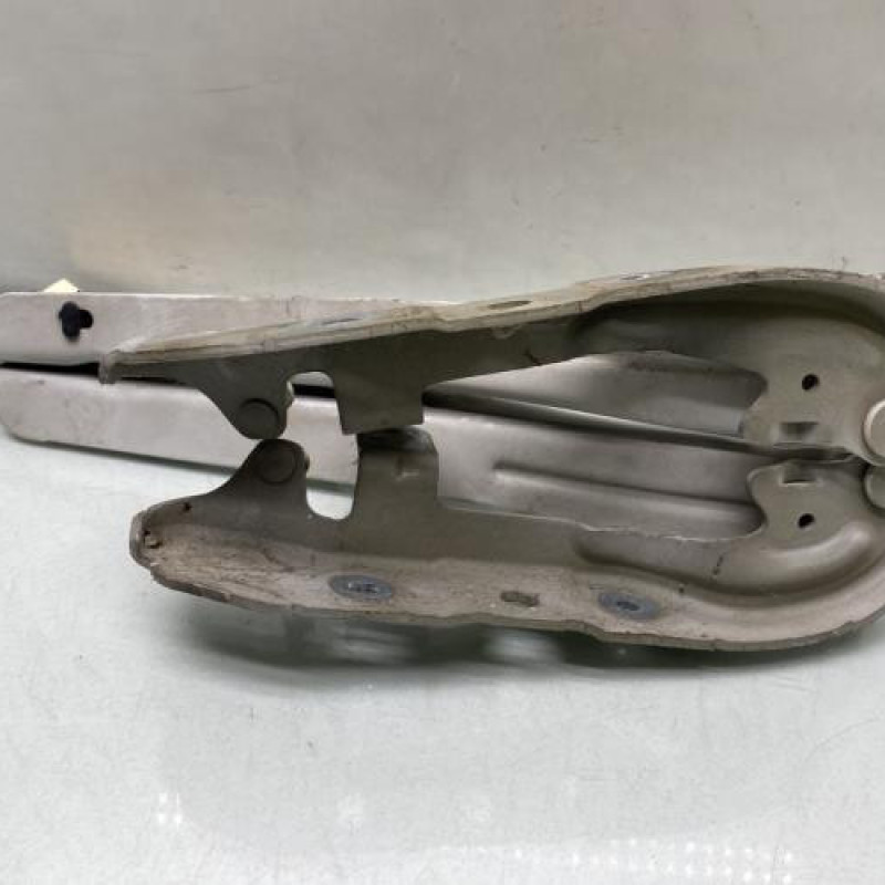 Charniere de capot CITROEN DS5 Photo n°3