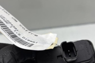 Bouton de coffre RENAULT CAPTUR 1