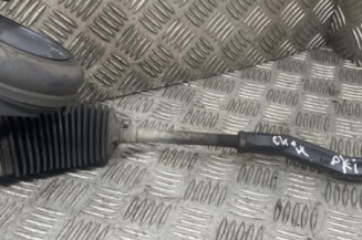 Cremaillere assistee RENAULT CLIO 4