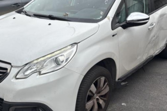 Eclairage de plaque PEUGEOT 2008 1