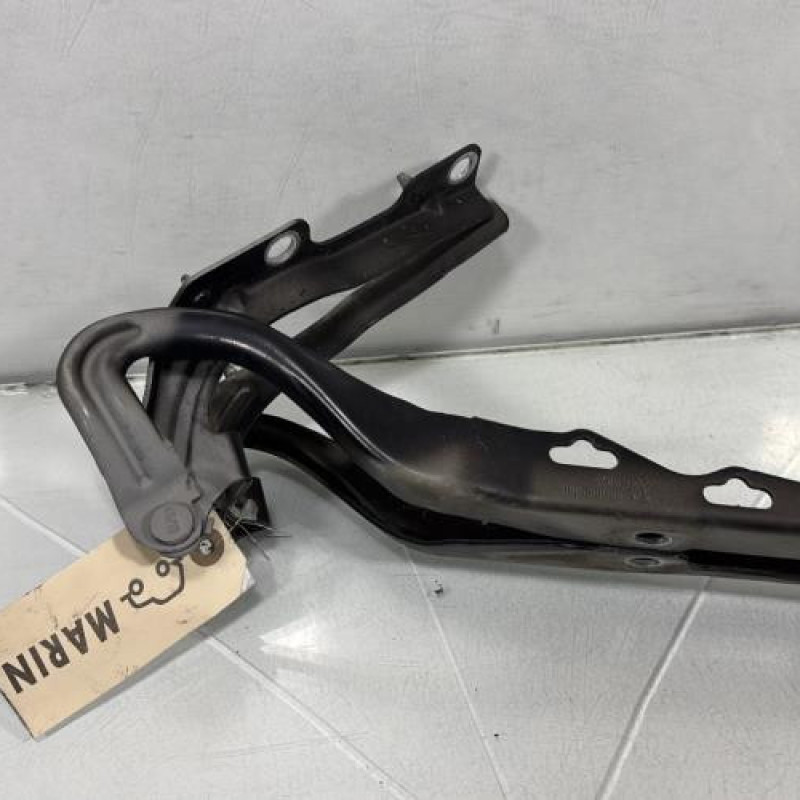 Charniere de capot PEUGEOT 207 Photo n°1