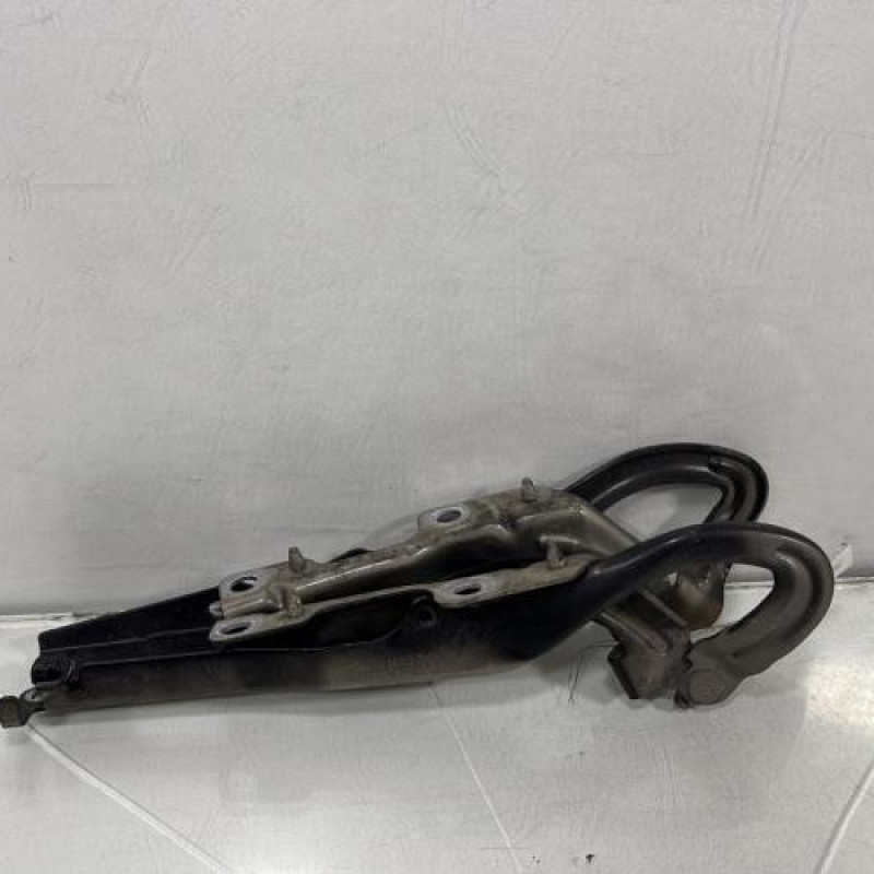 Charniere de capot PEUGEOT 207 Photo n°4