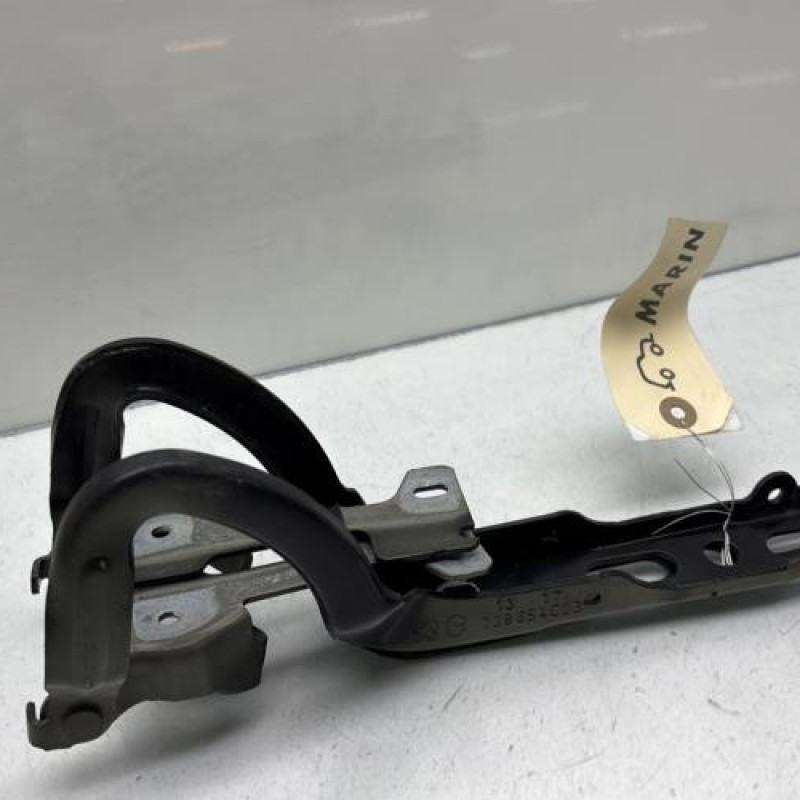 Charniere de capot PEUGEOT 208 1 Photo n°4