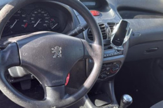 Cremaillere assistee PEUGEOT 206