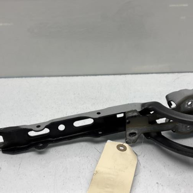 Charniere de capot PEUGEOT 208 1 Photo n°1