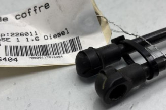 Verin de coffre RENAULT KADJAR