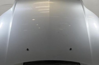 Capot CITROEN C4 1 Photo n°1