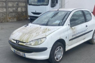 Baguette de porte avant droite PEUGEOT 206