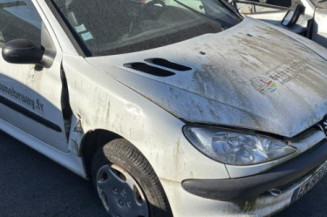 Baguette de porte avant droite PEUGEOT 206