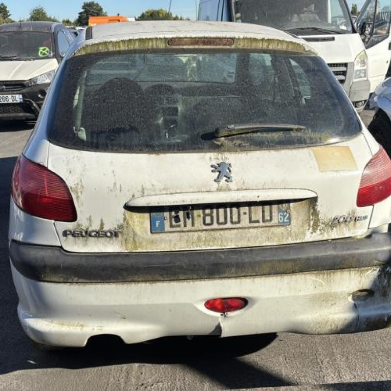 Baguette de porte avant droite PEUGEOT 206 Photo n°10