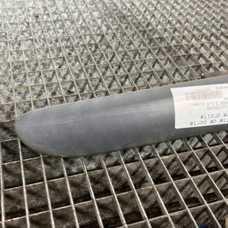 Baguette de porte arriere droite RENAULT CLIO 2 Photo n°2