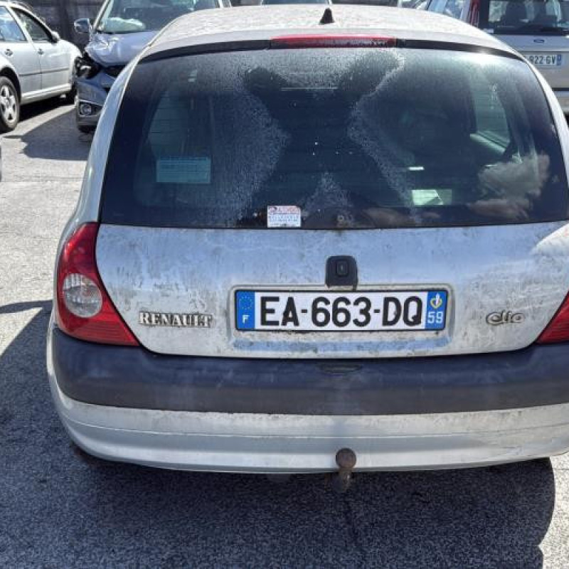 Baguette de porte arriere droite RENAULT CLIO 2 Photo n°9