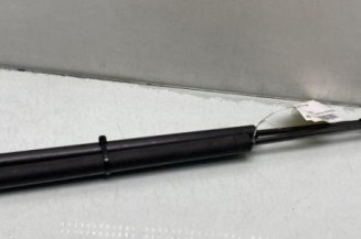 Feu arriere principal gauche (feux) PEUGEOT 106 Photo n°1