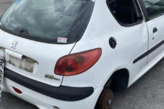 Baguette de porte avant droite PEUGEOT 206