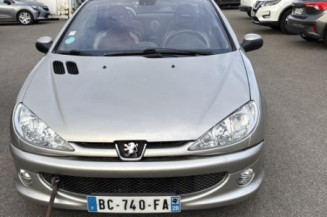 Baguette de porte avant droite PEUGEOT 206