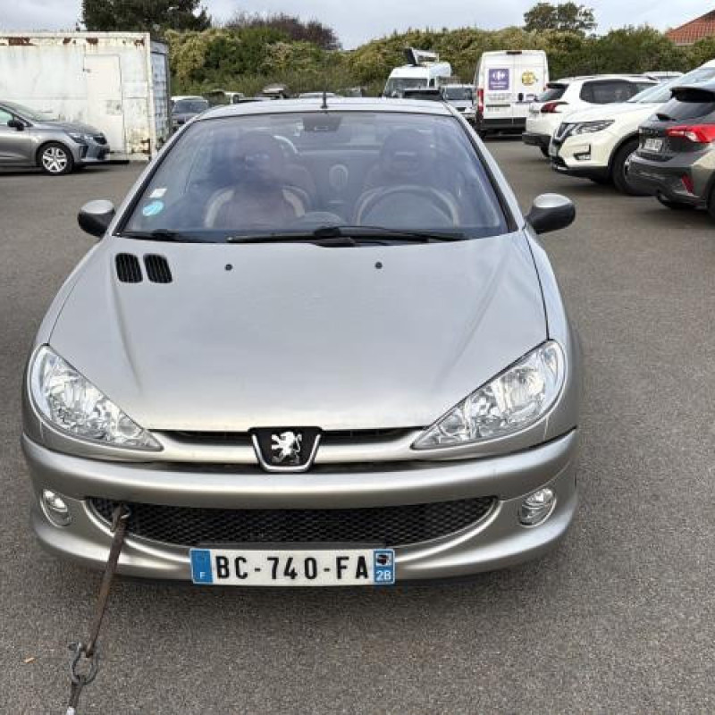 Baguette de porte avant droite PEUGEOT 206 Photo n°5