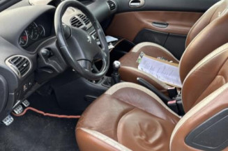 Baguette de porte avant droite PEUGEOT 206