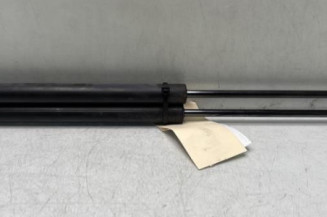 Verin de coffre PEUGEOT 207 Photo n°1