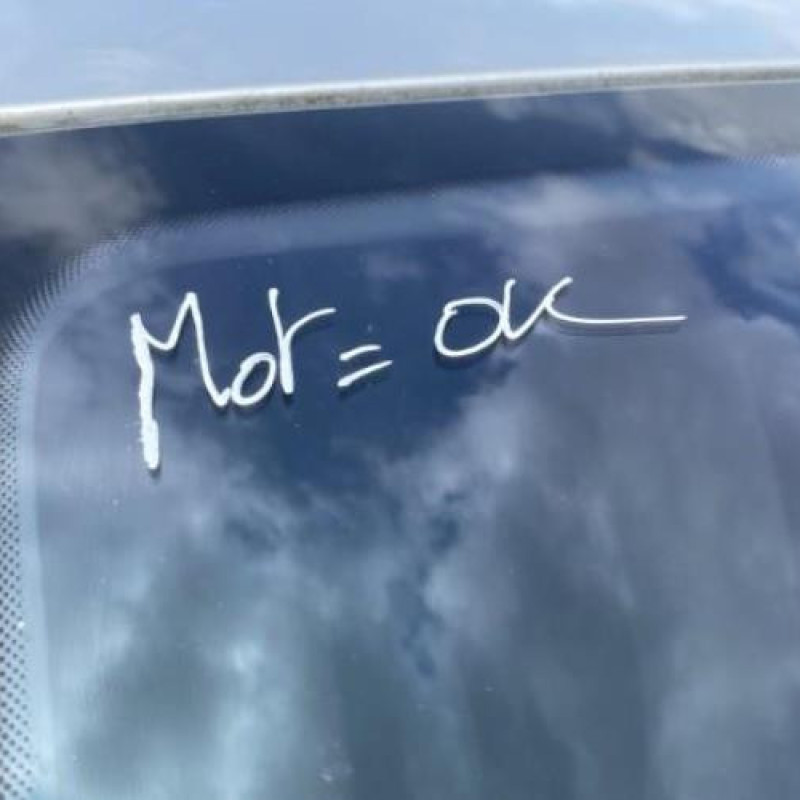 Poignee porte avant droit PEUGEOT 307 Photo n°10