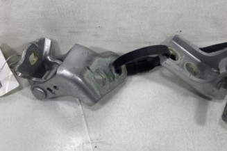 Charniere de porte avant gauche RENAULT CLIO 5 Photo n°1