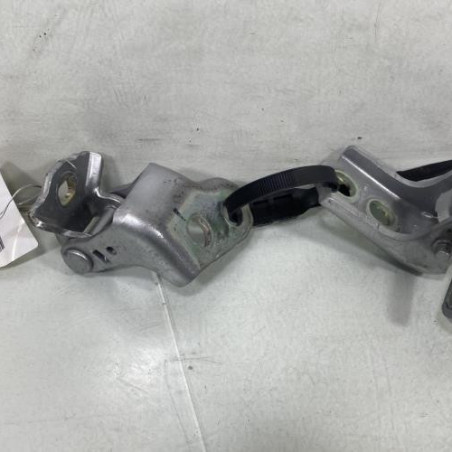 Charniere de porte avant gauche RENAULT CLIO 5 Photo n°1