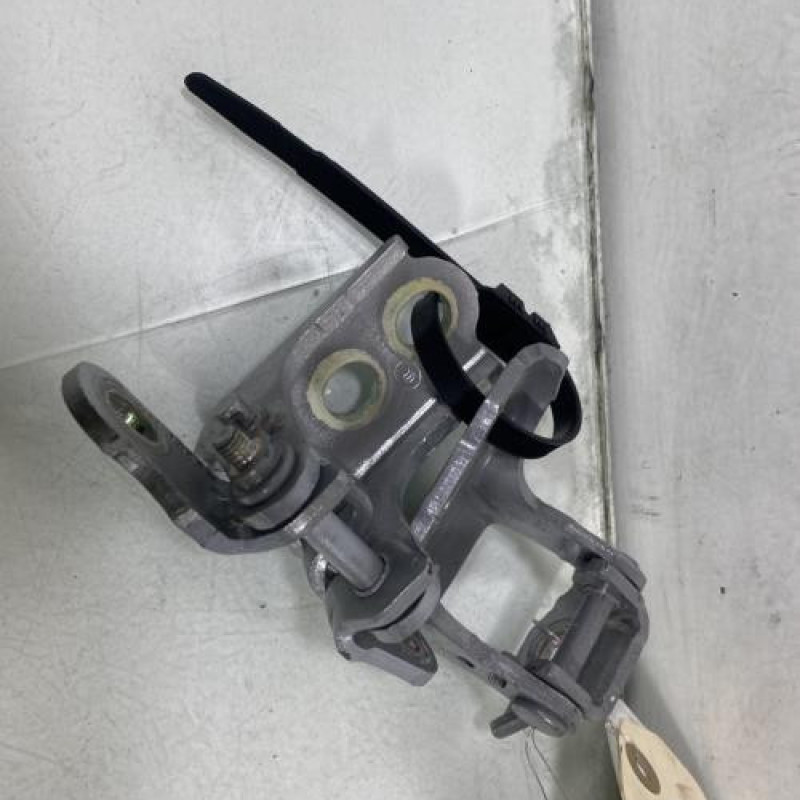 Charniere de porte avant gauche RENAULT CLIO 5 Photo n°3